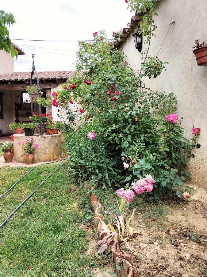 Albergue Don Camino Villalcázar de Sirga エクステリア 写真